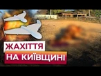 "Ноги ПОЛОМАНІ, ДІРИ по ВСЬОМУ ТІЛУ" РОСІЯНИ ВБИЛИ 7 КОНЕЙ НА Київщині! ПОКАЗАЛИ жахливі ДЕТАЛІ