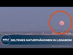 LISSABON: Besonderes Naturschauspiel – warum der Erdbeermond jetzt so rot leuchtet!