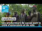 Cameroun : après la hausse des prix, les producteurs de cacao sont la cible d’extorsions et de vols