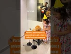 Menina faz aniversário para o gato e reúne a família inteira para comemorar