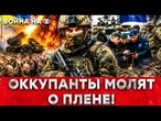 Россиян КОСЯТ КИЛОМЕТРАМИ: 80% НЕ ДОХОДЯТ ДО ПОЗИЦИЙ ВСУ! Украина показала НАТО, КАК НАДО ВОЕВАТЬ!