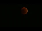 ‘Lua de sangue’ surge durante eclipse lunar total | AFP