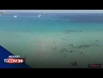 Estate 2026, tutti gli aumenti
