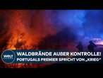 SPANIEN & PORTUGAL: Historische Feuerkatastrophe! Dramatischer Kampf gegen verheerende Waldbrände