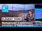 Madagascar: la construction de 2 autoroutes menace la forêt primaire • FRANCE 24