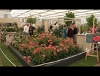 Londra, anche i Reali al Chelsea Flower Show
