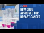 'Game-changing' drug that slows incurable breast cancer approved for NHS