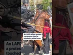 An LAPD officer pushes a protester after he touched a police horse