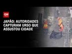 Autoridades capturam urso que assustou cidade no Japão; 94 escolas suspenderam aulas | LIVE CNN