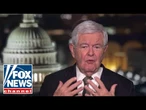 Newt Gingrich: Biden is being exploited