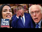 ‘OUR PARTY IS DIVIDED’: Ex-Clinton advisor says Democrats need a MAJOR ‘reset’