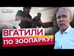 ТВАРИНИ ЗАГИНУЛИ! Росіяни обстріляли ХАРКІВСЬКИЙ ЗООПАРК ударними ДРОНАМИ! Наслідки ЖАХАЮТЬ
