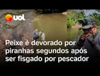 Peixe é devorado por piranhas segundos após ser fisgado, e pescador come o que sobrou; vídeo