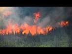 Umweltschäden: Waldbrände in Kanada setzen Rekordmenge an CO2 frei