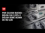 Especialista repercute queda do Ibovespa e subida do dólar | CNN NOVO DIA
