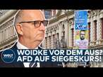 LANDTAGSWAHLEN BRANDENBURG: AfD auf Platz 1! Wagenknecht-Bündnis lässt Grüne hinter sich!