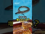 【ウナギは増えてるの？】 日欧で見解が真っ二つ　議論に科学的根拠は乏しく