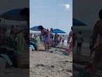 Massive swarm of dragonflies invades beach in Rhode Island