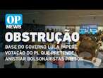 Base do governo Lula impede votação do PL da Anistia na CCJ da Câmara | O POVO NEWS