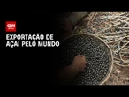 Brasil exporta quase 60% do açaí para os Estados Unidos | CNN NOVO DIA