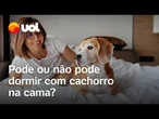 Pode ou não pode dormir com cachorro na cama? Faz mal pra saúde? E pro pet?; veja vídeo