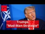 Top-Historiker erkennt bei Trump "Mad-Man-Strategie" – sein Fazit überrascht