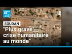 Soudan : les FSR disent avoir arrêté plusieurs de leurs combattants • FRANCE 24