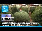 Sapin naturel vs sapin artificiel... Le match du bilan carbone • FRANCE 24