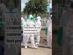 #RDC : l'interdiction de vols commerciaux en #Ituri prolongée • FRANCE 24