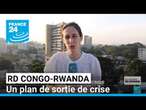 La RD Congo et le Rwanda se sont mis d'accord sur un plan de sortie de crise • FRANCE 24