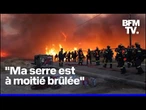 Incendies en Grèce: 16 villages et un camp de réfugiés évacués