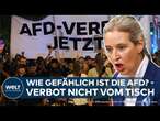 DEBATTE UM AFD-VERBOT: Verfassungsfeinde? Alice Weidel empört - 