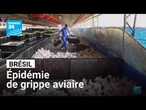 Brésil : épidémie de grippe aviaire dans un élevage du sud du pays. • FRANCE 24