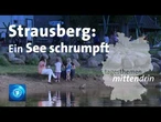 Strausberg: Einem See geht das Wasser aus | tagesthemen mittendrin