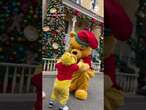 Tiny fan meets his favorite character, Winnie the Pooh