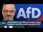 AFD BEI 30 PROZENT: Fleischauer sieht Panik und rechnet mit Rot-Grün ab