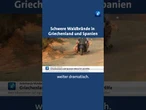 Seit Tagen wüten in Südeuropa Waldbrände. #spanien #griechenland #tagesschau #nachrichten