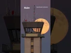Stunning moment largest supermoon of the year rises over Chicago airport
