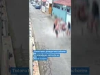 Tutora tenta proteger seu cachorro e é atacada por outro cão no Rio de Janeiro