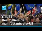 En Géorgie, des milliers de manifestants pro-UE, contre le gouvernement • FRANCE 24