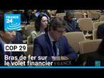 COP 29 : bras de fer Nord/Sud sur le volet financier en Azerbaïdjan • FRANCE 24