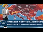 HITZEWELLE IN DEUTSCHLAND: Bis zu 42 Grad! Experte warnt! "Das ist etwa so hoch wie in der Sahara!"