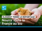 Ces agriculteurs qui cassent les idées préconçues sur le bio • FRANCE 24