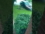 Grandmother killed after Tesla CRASHES into home #foxnews #news #shorts #tesla #crash