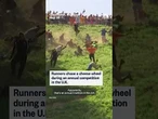 Runners chase a cheese wheel during an annual competition in the U.K.
