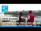 Côte d'Ivoire : les mangroves menacées par les constructions anarchiques • FRANCE 24