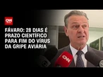 Gripe aviária: 28 dias é prazo científico para fim do vírus, diz Fávaro| LIVE CNN