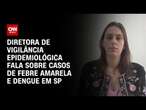 Diretora de Vigilância Epidemiológica fala sobre casos de febre amarela e dengue em SP | LIVE CNN