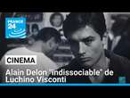 Alain Delon, une icône du cinéma français mais aussi italien • FRANCE 24