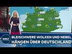 WETTER IN DEUTSCHLAND: Bleischwere Wolken und Nebel - Zeigt sich noch einmal die Sonne im November?